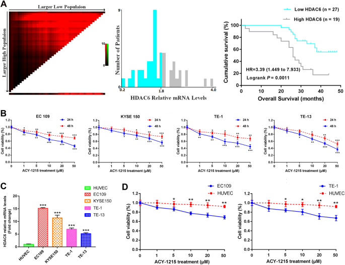 Fig. 1: The high expression of HDAC6 was associated with poor prognosis in ESCC specimens, and ACY-1215-inhibited tumor cell proliferation.