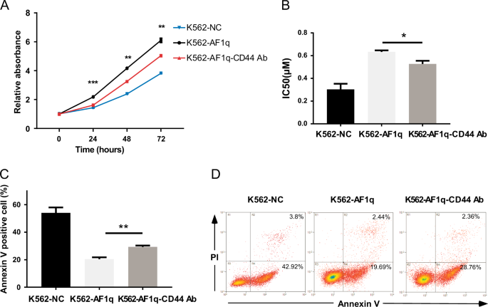 Fig. 6: CD44 inhibition attenuated AF1q function in CML.