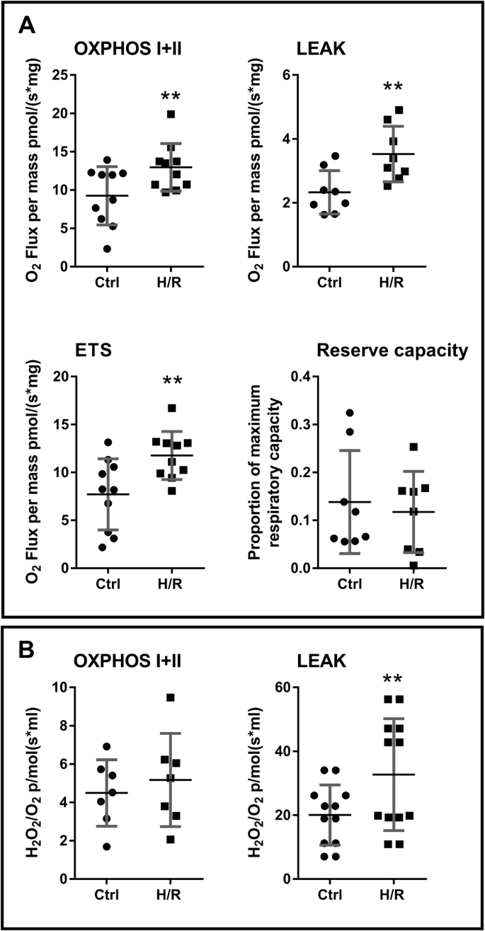 Fig. 5: In vitro hypoxia/reoxygenation of placental tissue leads to increased mitochondrial respiration and increased production of hydrogen peroxide during LEAK state respiration.