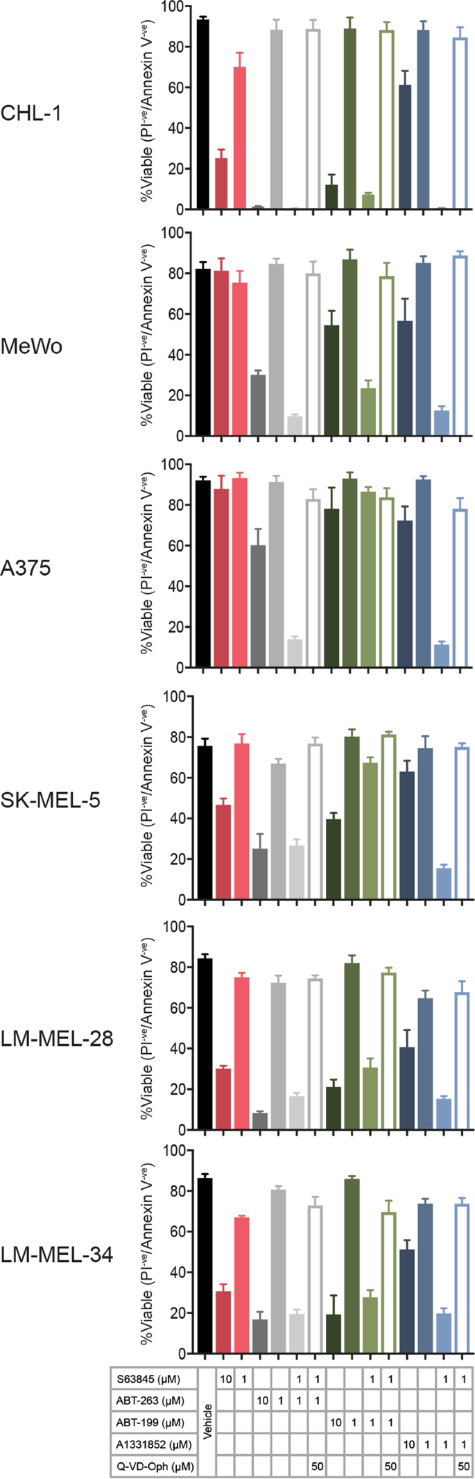 l Xl And Mcl 1 Are The Key l 2 Family Proteins In Melanoma Cell Survival Cell Death Disease