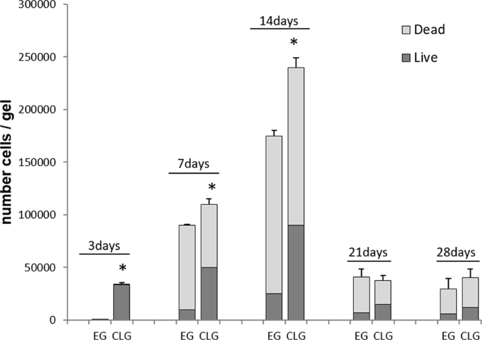 Fig. 2: B16-hCXCR4-GFP cells trapped in EG or CLG gels progressively die.