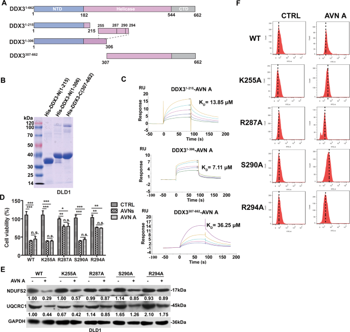 Fig. 7: Exploring the binding sites between AVN A and DDX3.