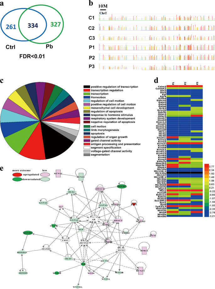 Fig. 4: Genome-wide redistribution of H3K27me3 is elicited in hippocampal neurons by Pb exposure (n = 3).