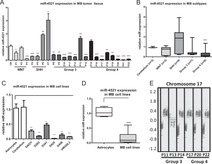 Fig. 1: miR-4521 expression levels in MB patient tissue and MB cell lines.