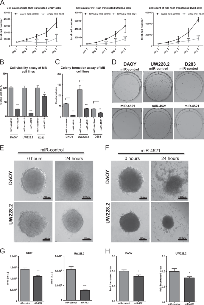 Fig. 4: Anti-proliferative effect of miR-4521 in MB cell lines.