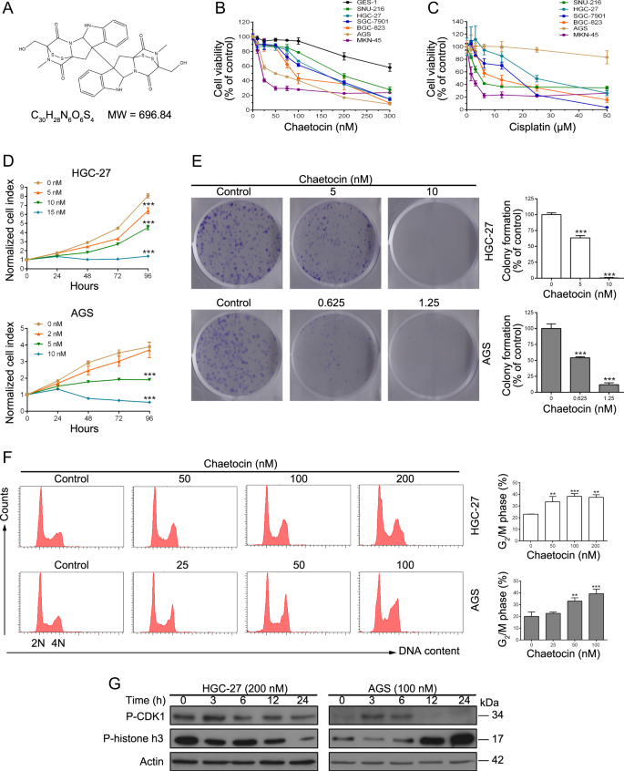 Ros Mediated Inactivation Of The Pi3k Akt Pathway Is Involved In The Antigastric Cancer Effects Of Thioredoxin Reductase 1 Inhibitor Chaetocin Cell Death Disease