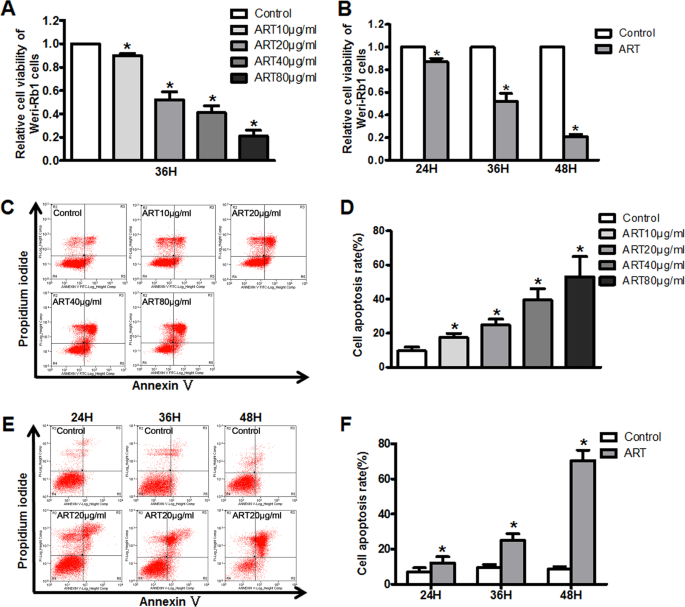 Fig. 1: ART inhibits WERI-Rb1 cells proliferation and induces cell apoptosis.