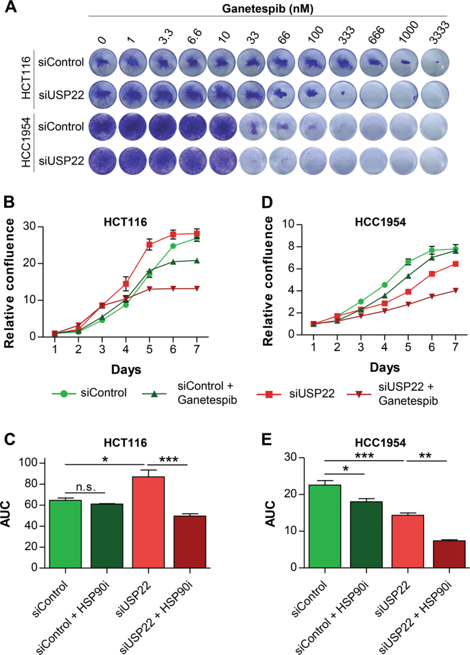 USP22-dependent