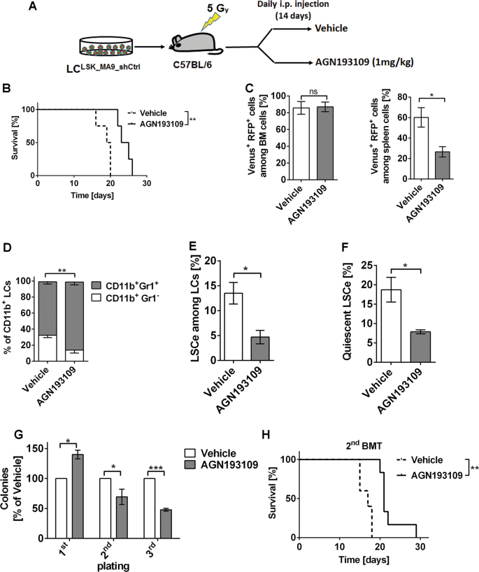 All Trans Retinoic Acid Enhances And A Pan Rar Antagonist Counteracts The Stem Cell Promoting Activity Of Evi1 In Acute Myeloid Leukemia Cell Death Disease