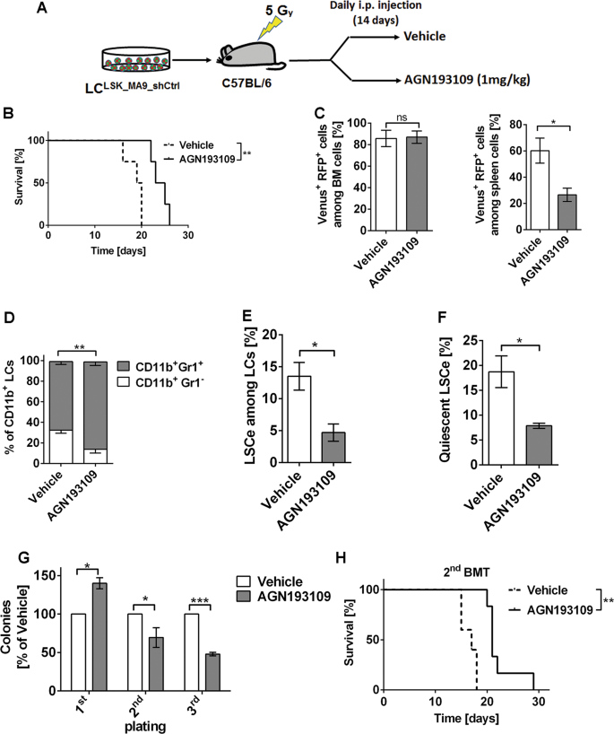 All Trans Retinoic Acid Enhances And A Pan Rar Antagonist Counteracts The Stem Cell Promoting Activity Of Evi1 In Acute Myeloid Leukemia Cell Death Disease All Trans Retinoic Acid Enhances And A Pan Rar Antagonist Counteracts The Stem Cell Promoting Activity Of Evi1 In Acute Myeloid Leukemia Cell Death Disease