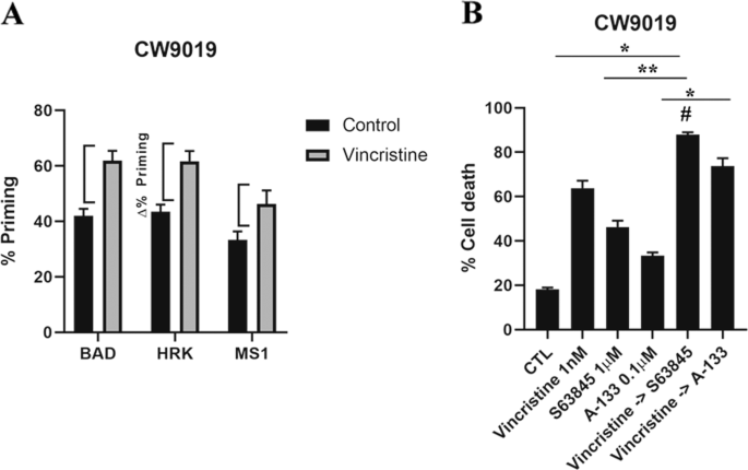 Fig. 2: Dynamic BH3 profiling predicts synergistic combinations with vincristine and BH3 mimetics in the CW9019 cell line.
