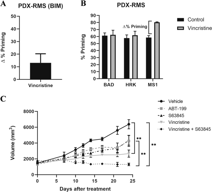 Fig. 5: Sequential treatment of vincristine and S63845 stops tumor progression in the PDX model of RMS RMSX1.