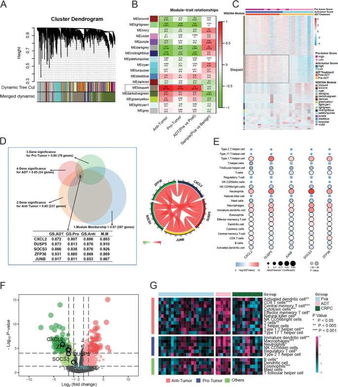 Fig. 3: Screening hub genes in ADT-induced immune remodeling process using WGCNA.