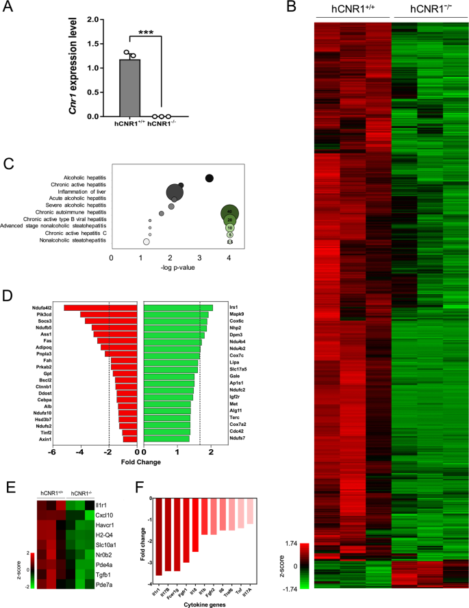 Hepatocyte Cannabinoid 1 Receptor Nullification Alleviates Toxin Induced Liver Damage Via Nf Kb Signaling Cell Death Disease Hepatocyte Cannabinoid 1 Receptor Nullification Alleviates Toxin Induced Liver Damage Via Nf Kb Signaling Cell Death Disease