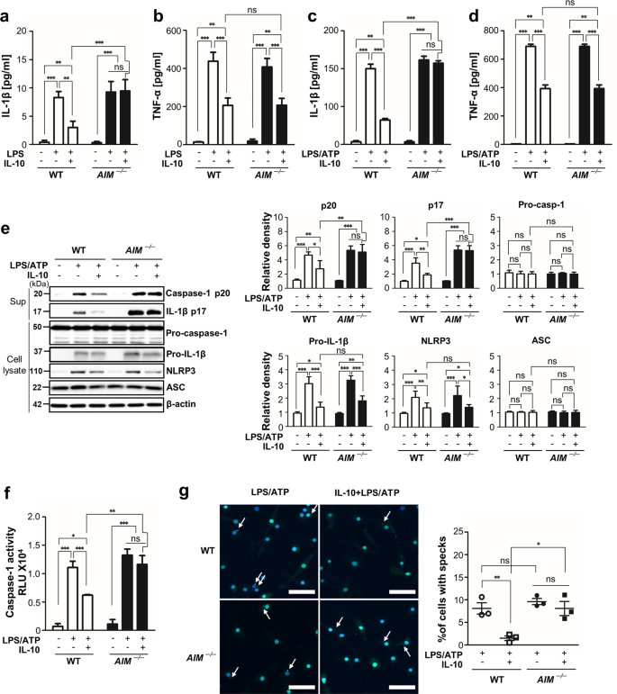 Apoptosis inhibitor of macrophage (AIM) contributes to IL-10-induced  anti-inflammatory response through inhibition of inflammasome activation |  Cell Death & Disease