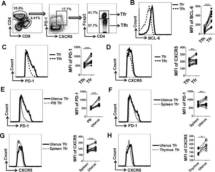 Fig. 2: Uterine Tfr cells display a distinct phenotype.