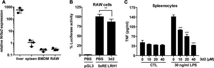 Fig. 1: LRH-1 expression and activity in macrophages.