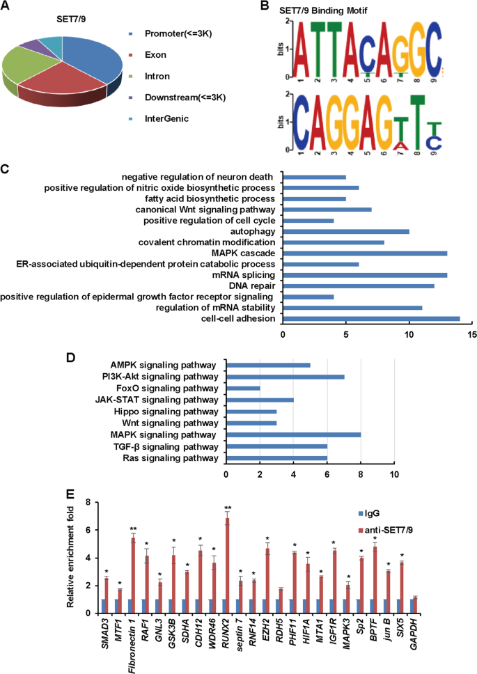 Fig. 2: Identification of genome-wide transcription targets for SET7/9.