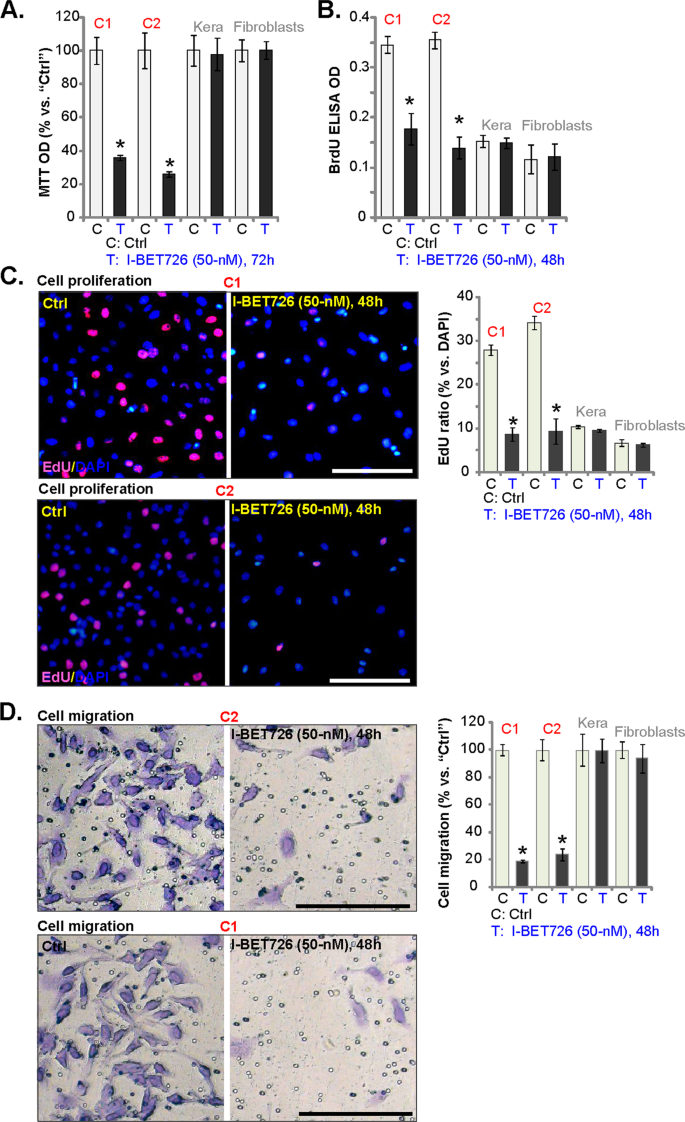 I-BET726 suppresses human skin squamous cell carcinoma cell growth in vitro  and in vivo | Cell Death & Disease