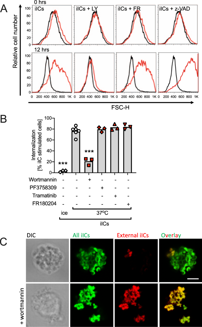 Immune Complex Induced Apoptosis And Concurrent Immune Complex Clearance Are Anti Inflammatory Neutrophil Functions Cell Death Disease