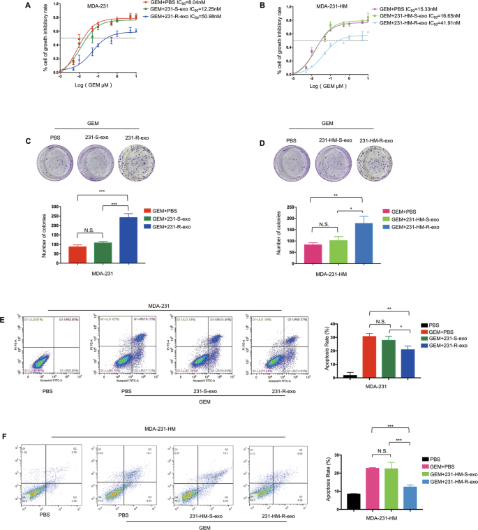 Exosomal annexin A6 induces gemcitabine resistance by inhibiting  ubiquitination and degradation of EGFR in triple-negative breast cancer |  Cell Death & Disease