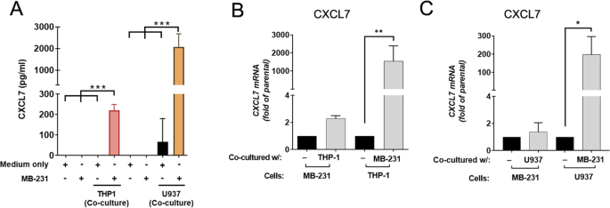 Fig. 1: MDA-MB-231 breast cancer cells induce CXCL7 secretion from THP-1 and U937 monocytes.