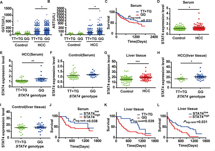 Fig. 1: Association of the stat4 rs7574865 genetic polymorphism with the risk of HCC.