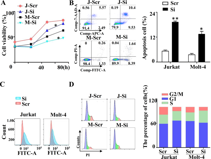 Fig. 1: The role of miR-652-5p in T-ALL cells.