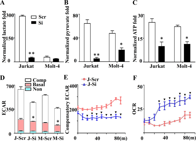 Fig. 2: The role of miR-652-5p in glycolysis of T-ALL cells.