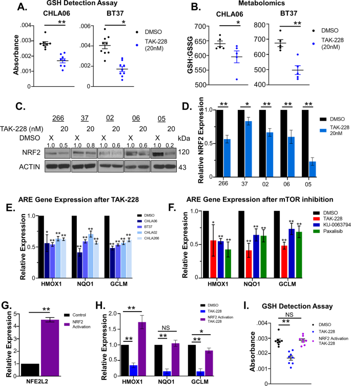 Fig. 2: TAK-228 interferes with NRF2 transcriptional activity to disrupt the oxidative stress response in AT/RT.