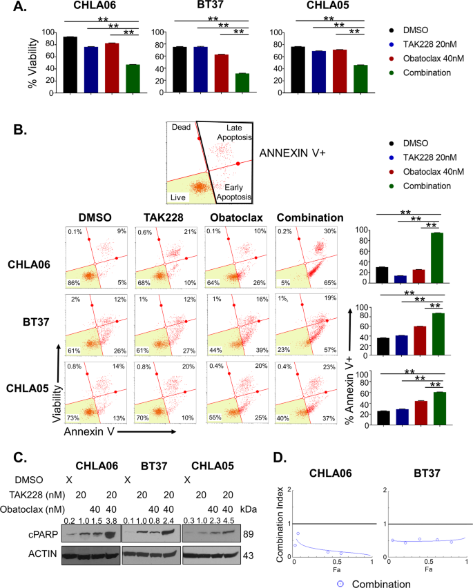 Fig. 4: TAK-228 combines synergistically with Obatoclax to induce apoptosis and cell death in AT/RT.