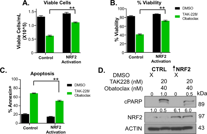 Fig. 5: NRF2 rescues the impact of combination therapy on AT/RT growth, viability, and apoptosis.