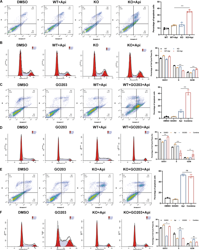 Fig. 2: Targeting MUC1 enhanced the apoptosis and cell cycle arrest in MCF-7 cells.