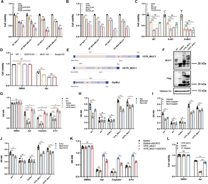 Fig. 4: MUC1 glycosylation inhibition re-sensitized MCF-7 cells to drug cytotoxicity.