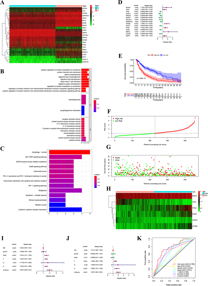 Fig. 1: Prognostic value of ARGs in melanoma.