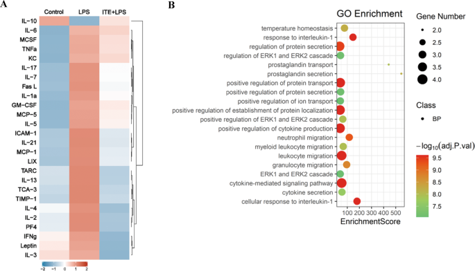 Fig. 6: ITE extensively inhibited secretion of LPS induced inflammatory cytokines in BV2 microglia.