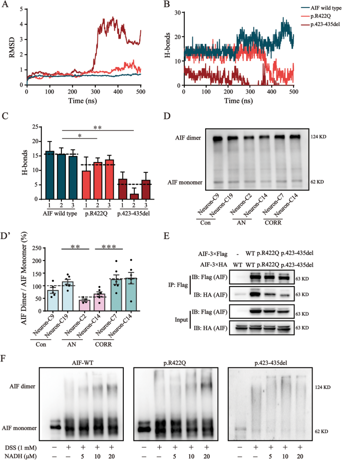 Fig. 3: AIF variants impaired AIF dimerization.