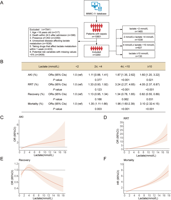 Lactate induces vascular permeability via disruption of VE-cadherin in  endothelial cells during sepsis