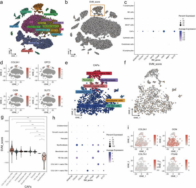 what type of research aims to explore cause and effect figure 6
