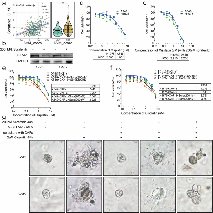 what type of research aims to explore cause and effect figure 8