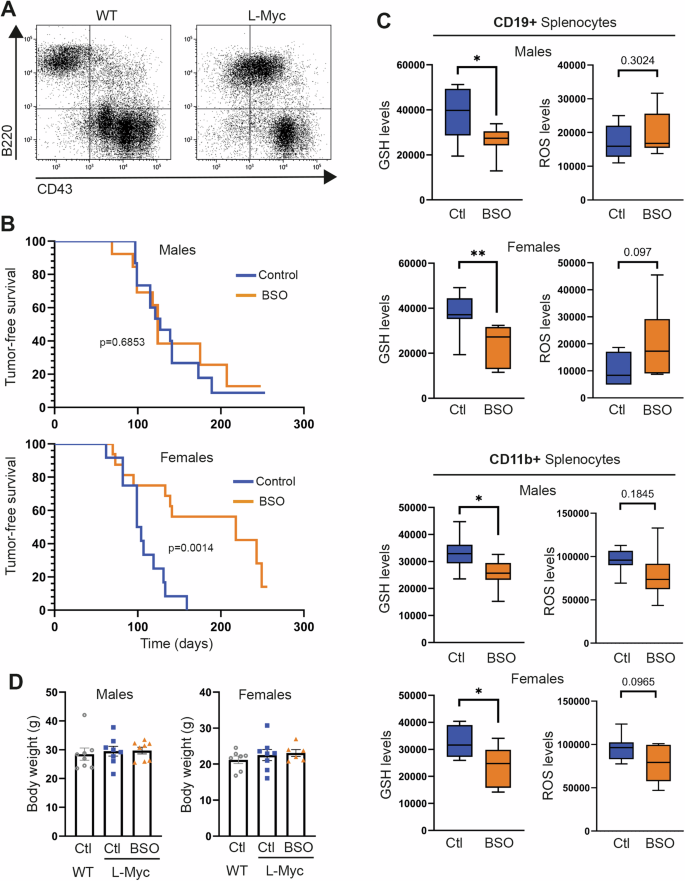 effect of glutathione on body Glutathione overproduction mediates lymphoma initiating cells survival and  has a sex-dependent effect on lymphomagenesis