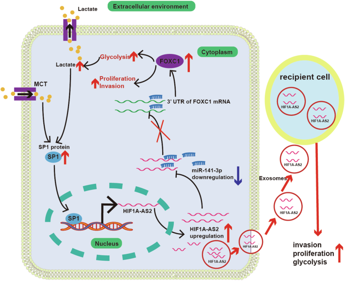 Fig. 10: Flow chart of this research.