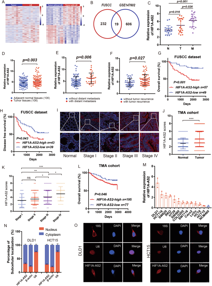 Fig. 1: Identification of HIF1A-AS2 as a lncRNA associated with the prognosis and clinicopathological factors of CRC.