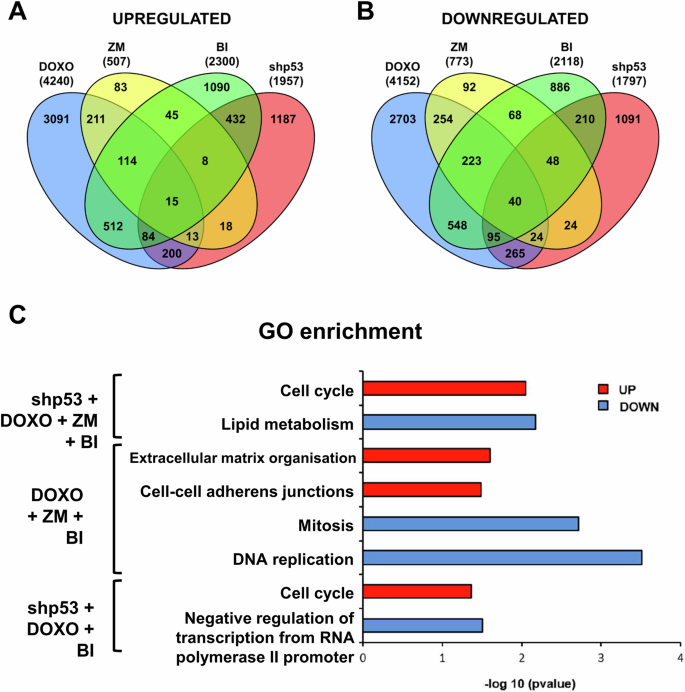 Fig. 1: Analyses of DEGs common along treatments and biological processes.