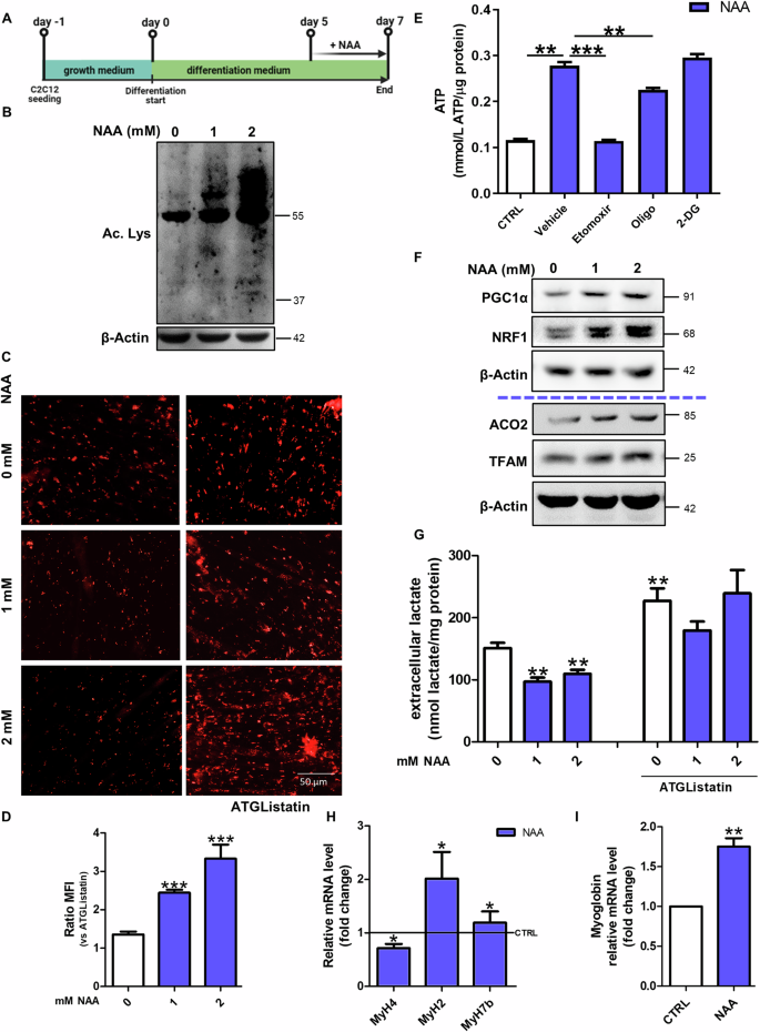 lateral excursion type figure 1
