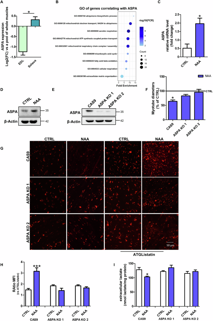 lateral excursion type figure 3