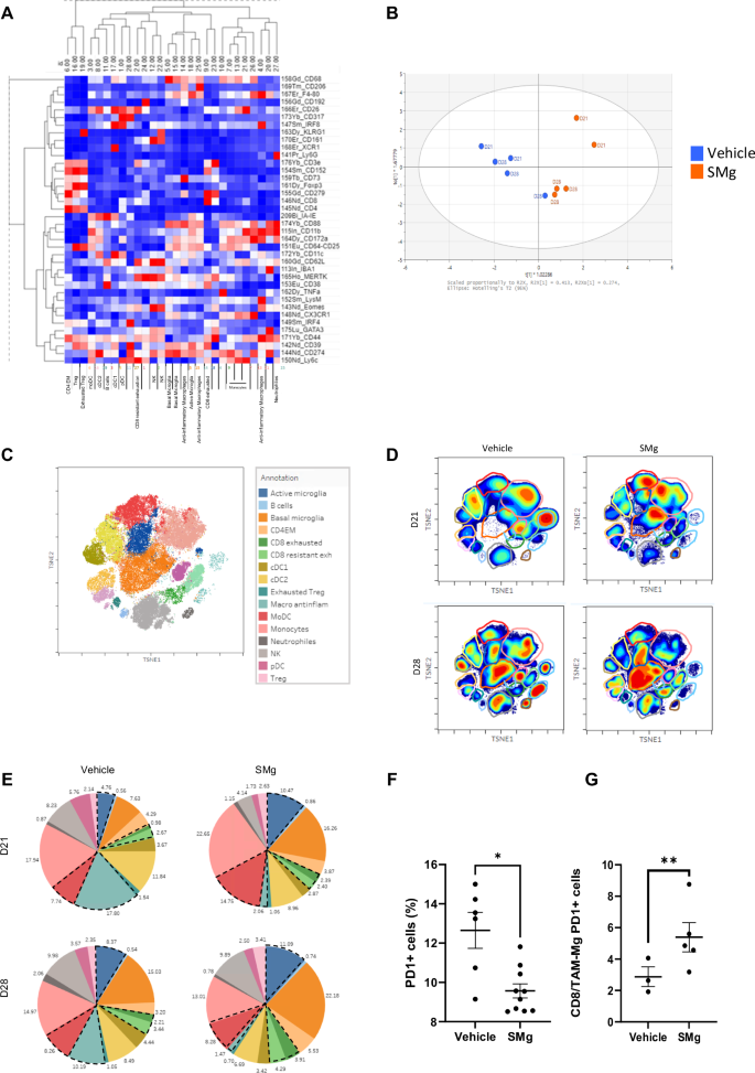 Fig. 8: SMg reshapes immune blood-derived cells and brain-resident immune cells.