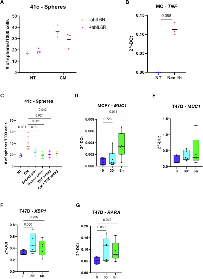 Fig. 6: TNF is crucial for the induction of stem-related features by mast cells.