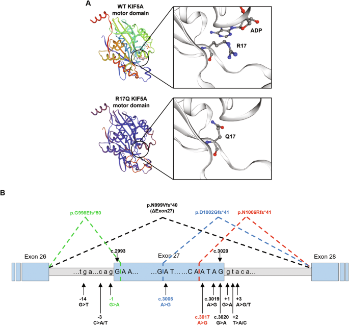 alternative hypothesis example in statistics figure 2