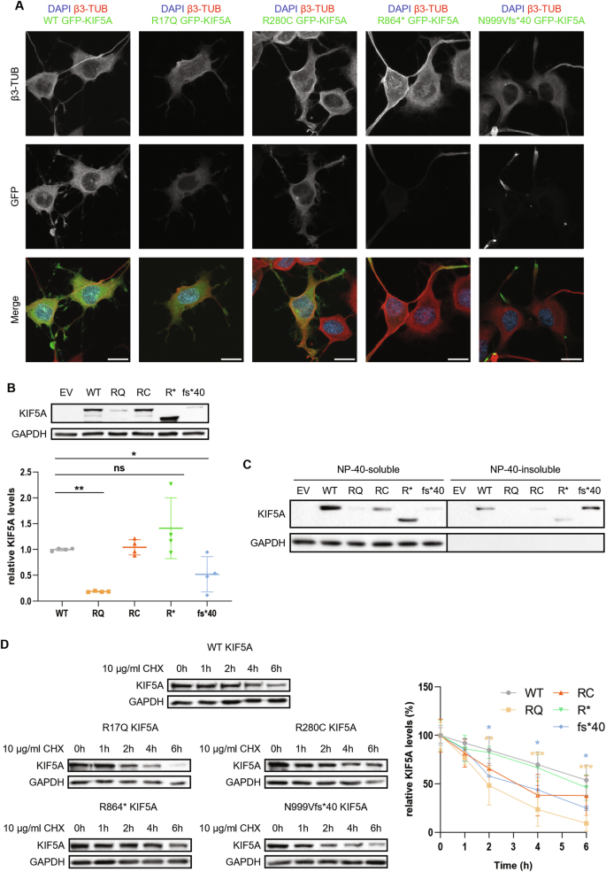 alternative hypothesis example in statistics figure 3